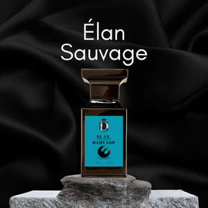 Élan Sauvage 50ML - Inspired By Sauvage Dior